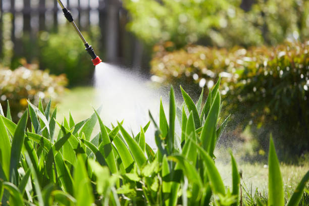 24/7 Emergency Mosquito Control experts in Dallas, NC
